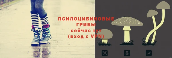 гидропоника Балабаново