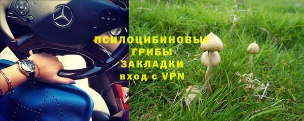 винт Баксан