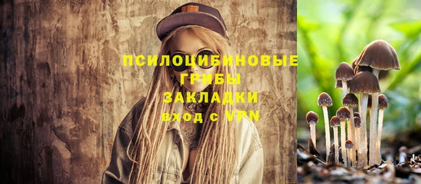 винт Баксан